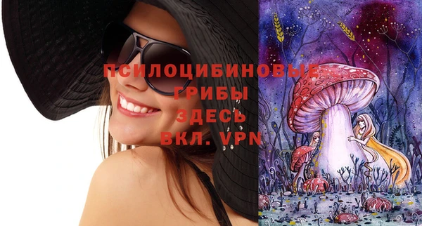 не бодяженный Алексин