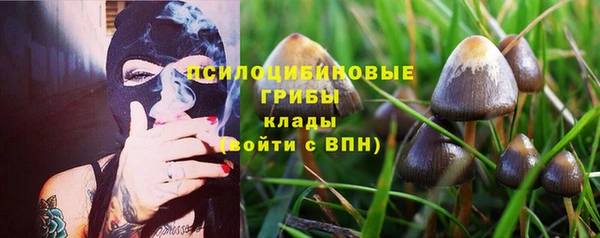 не бодяженный Алексин