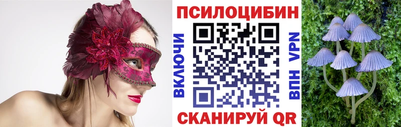 Галлюциногенные грибы Psilocybe  наркотики  Сураж 